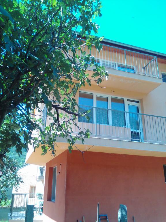 Vila Bachkovo Exterior photo